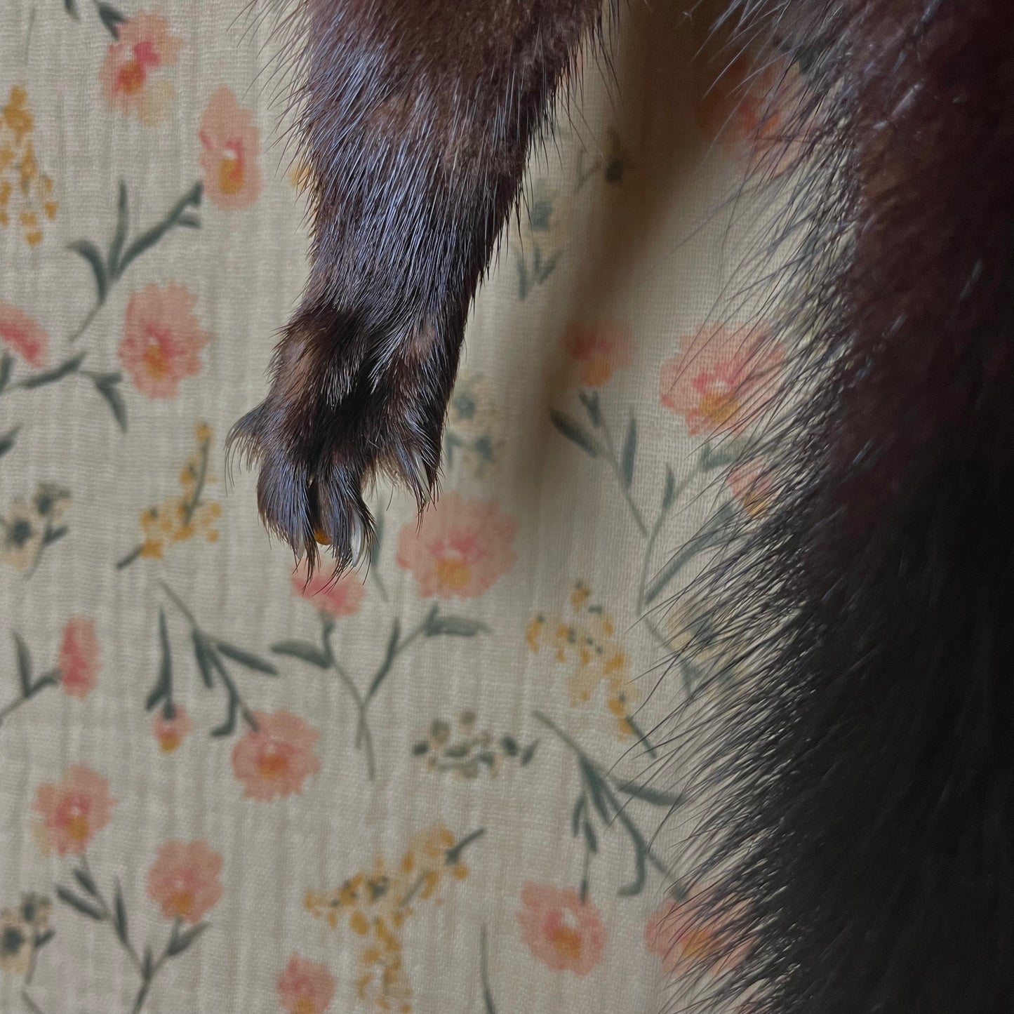 Vintage Mink Scarf with Lining