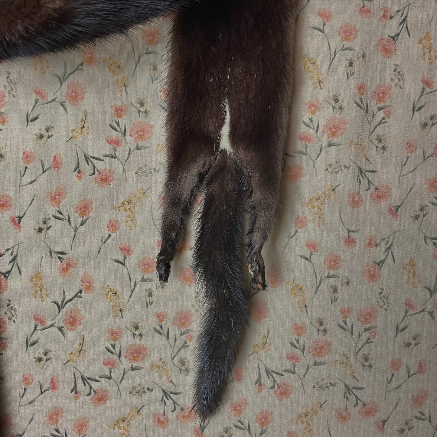Vintage Mink Scarf with Face