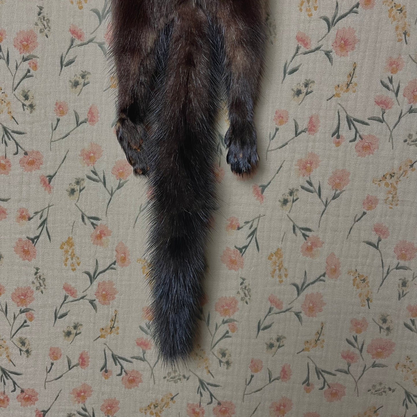 Vintage Mink Scarf with Face