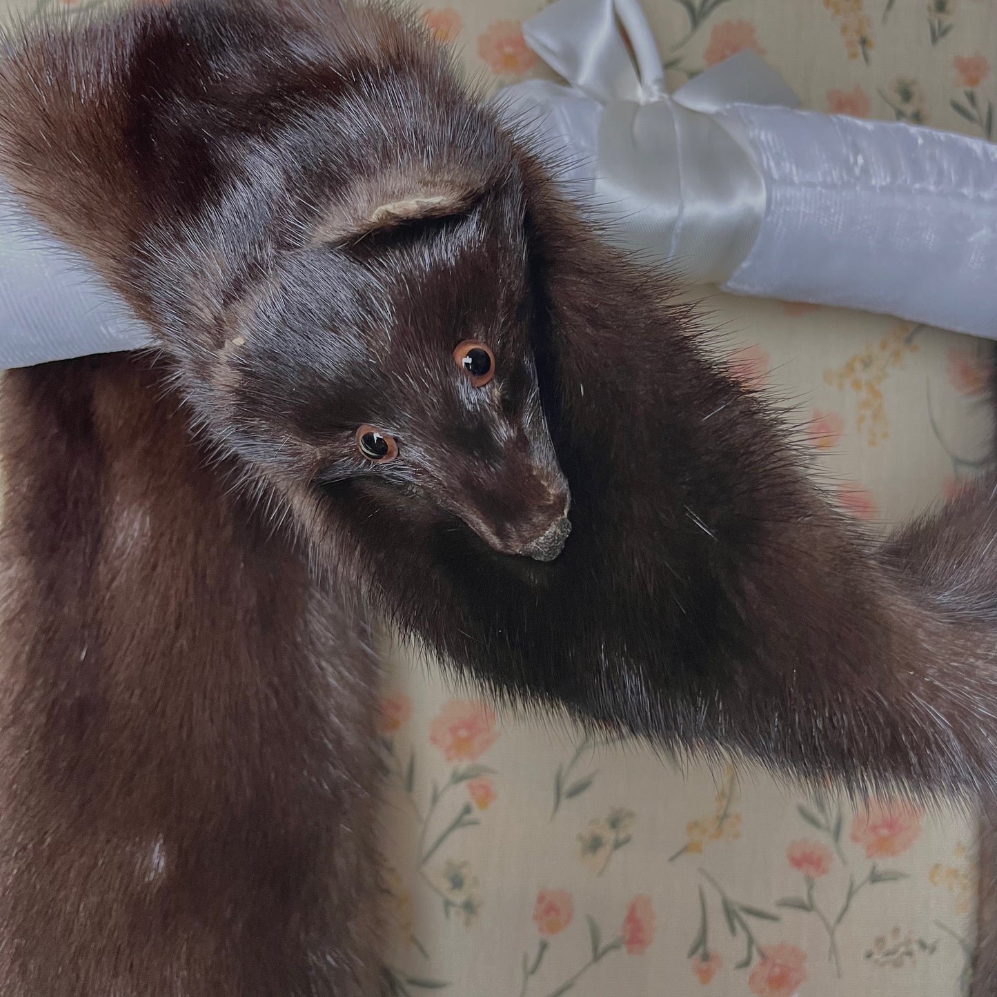 Vintage Mink Scarf with Face