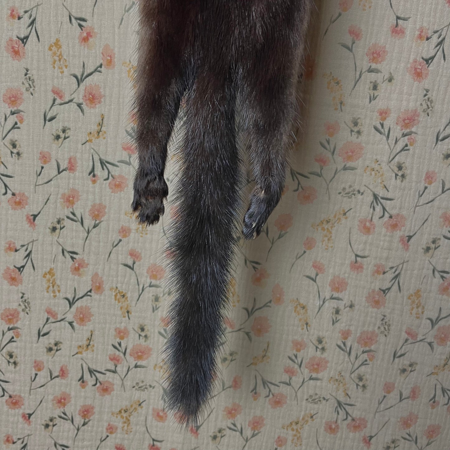 Vintage Mink Scarf with Face