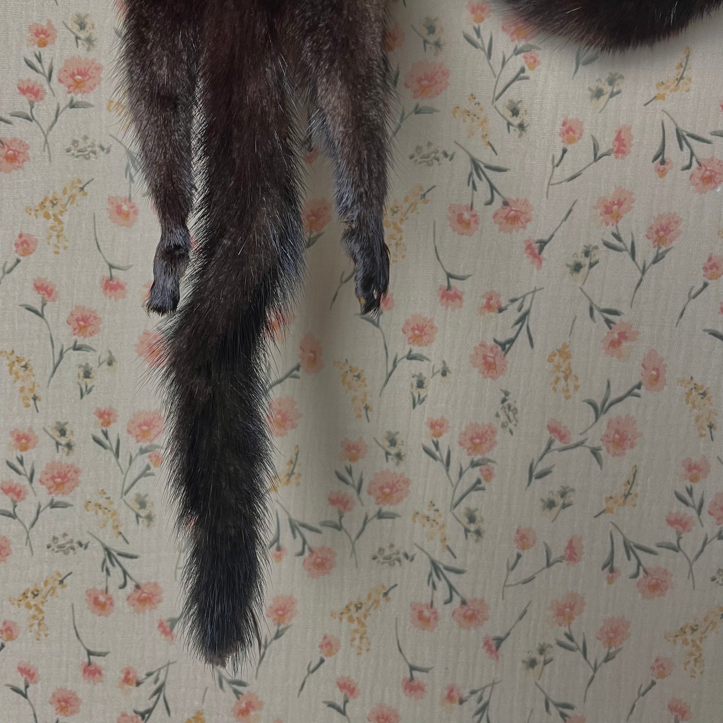 Vintage Mink Scarf with Face