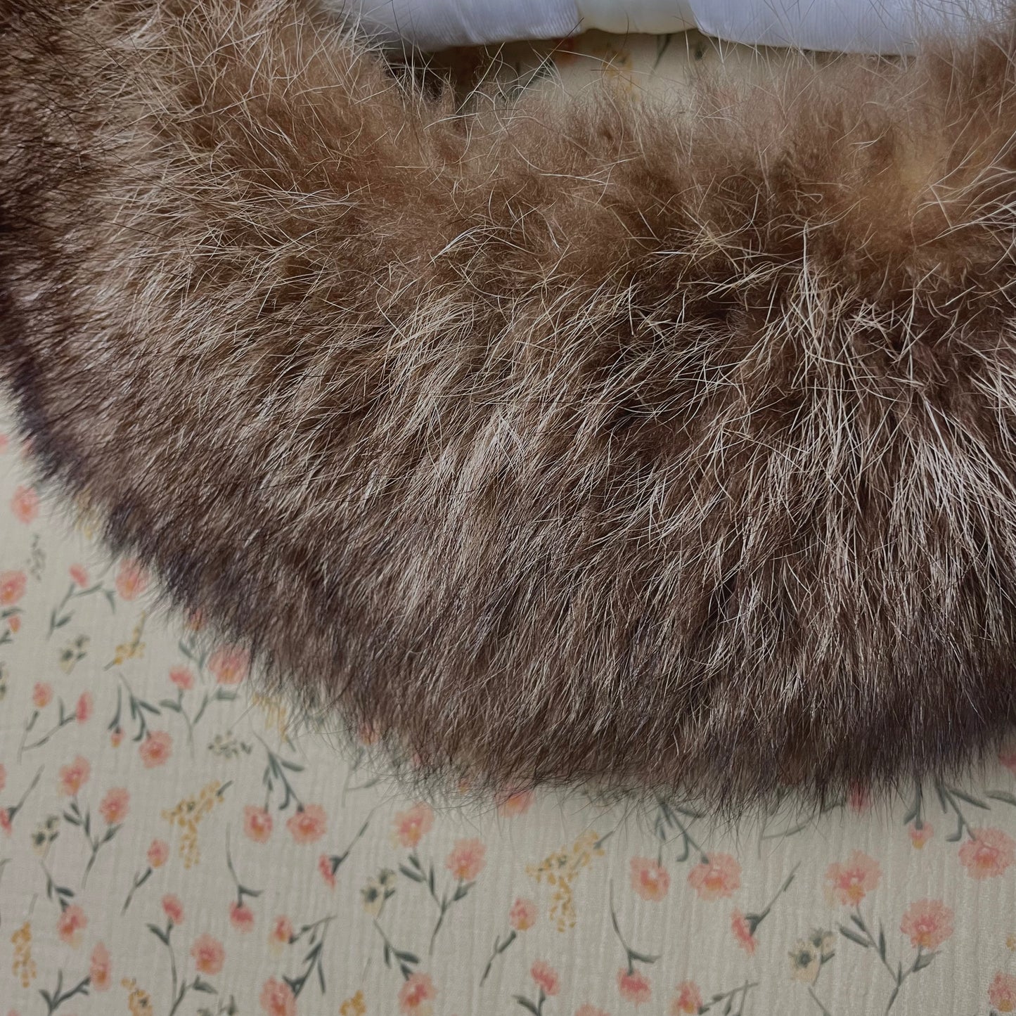 Vintage Fox Shawl