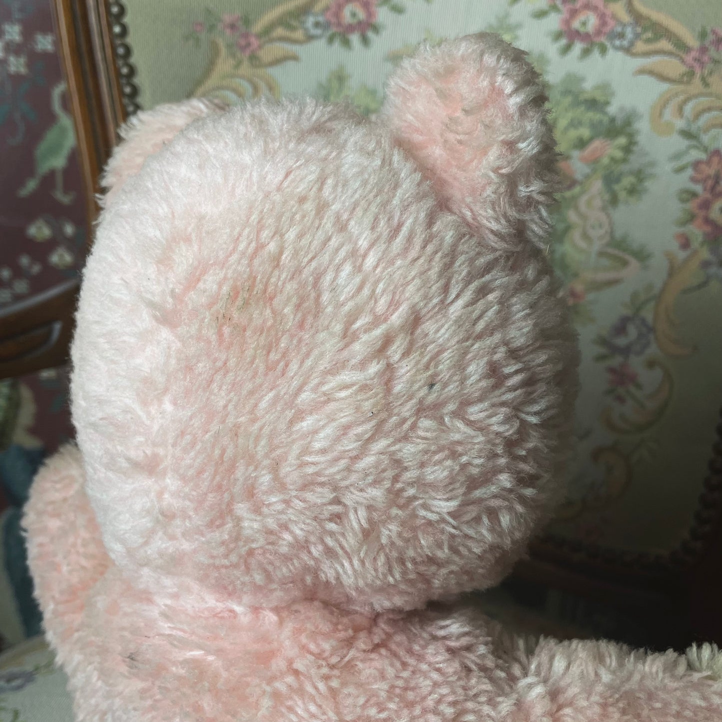 Sonni Sonneberg Teddybear