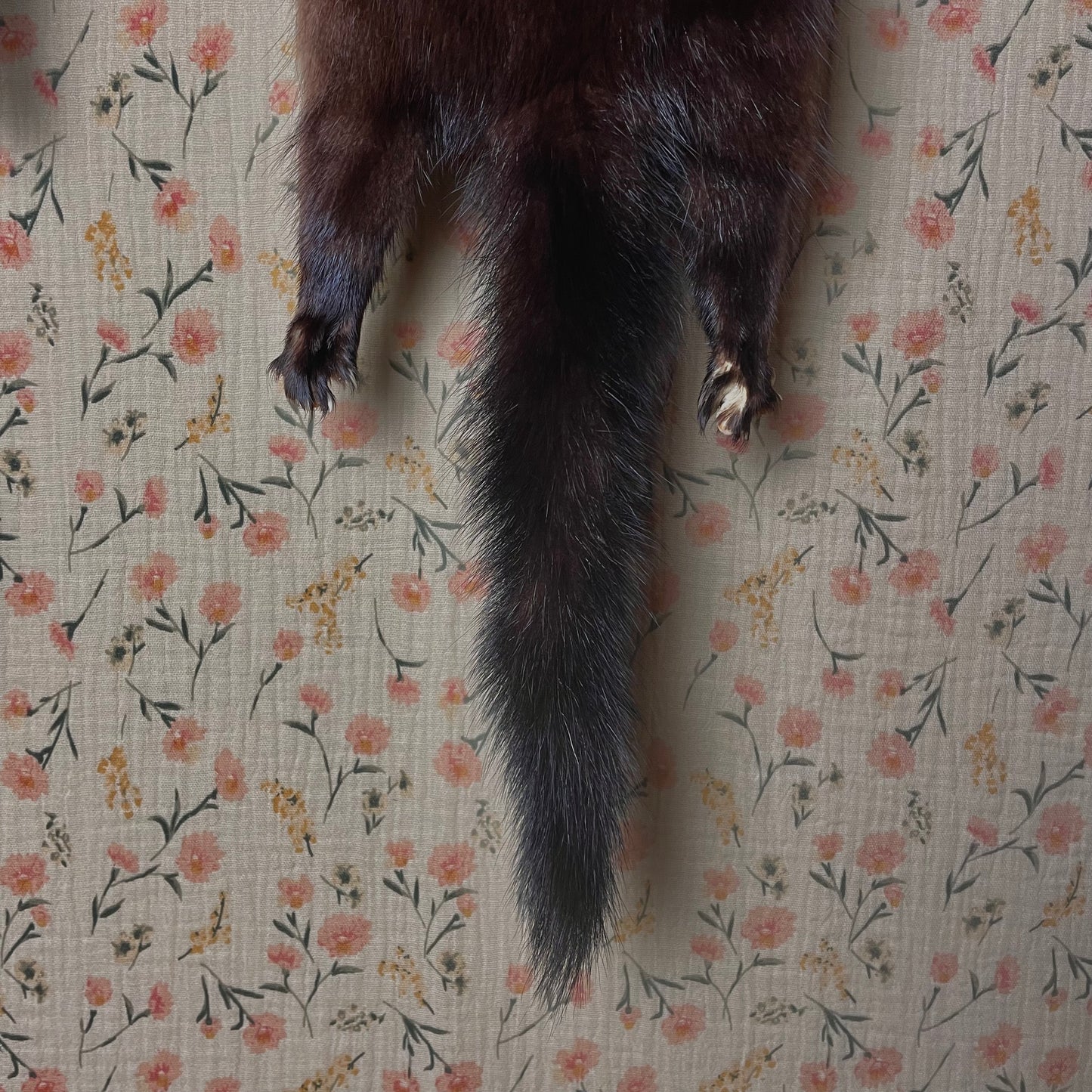 Vintage Mink Scarf with Lining
