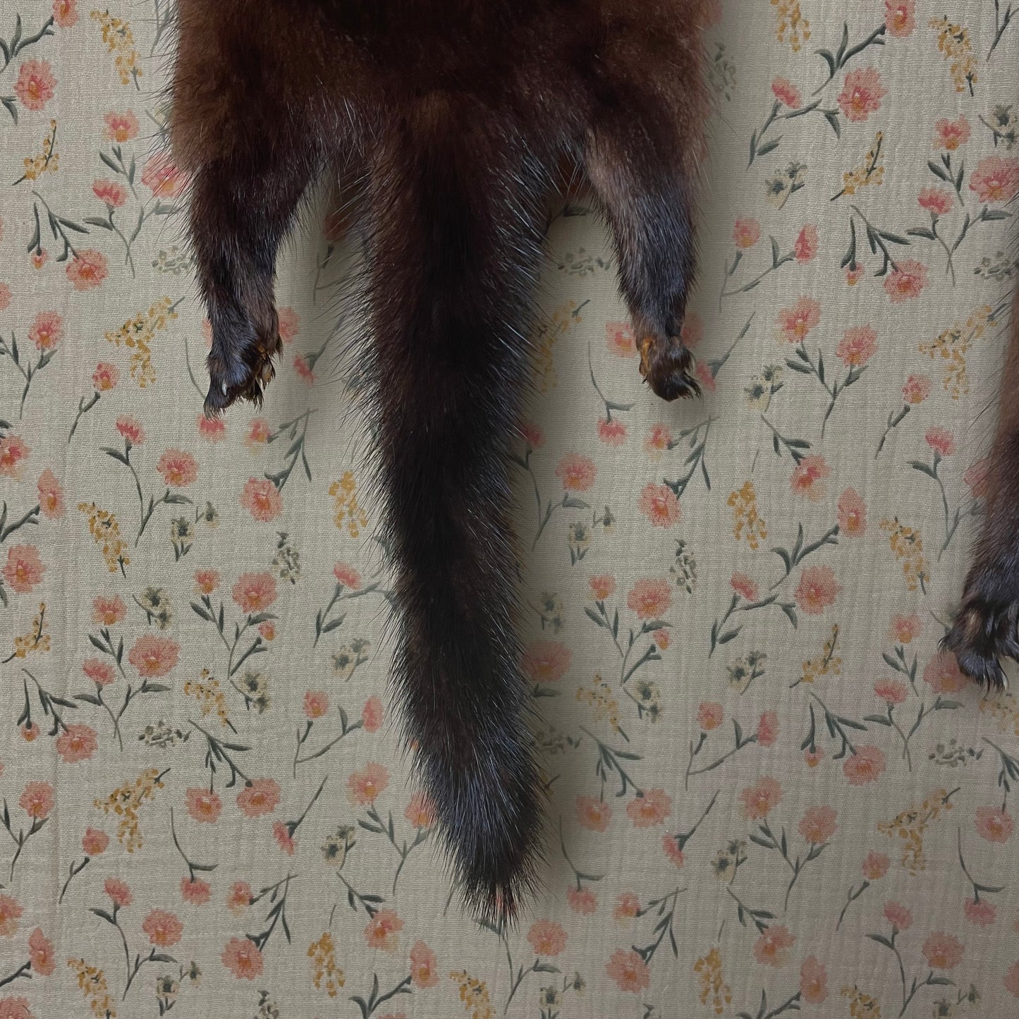 Vintage Mink Scarf with Lining