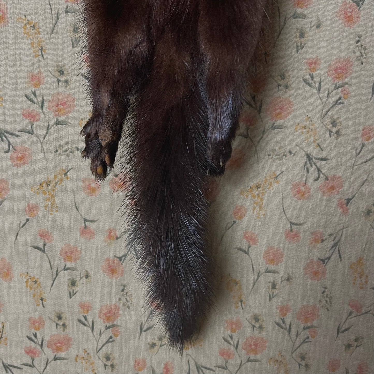 Vintage Mink Scarf with Diamond Knot Closure