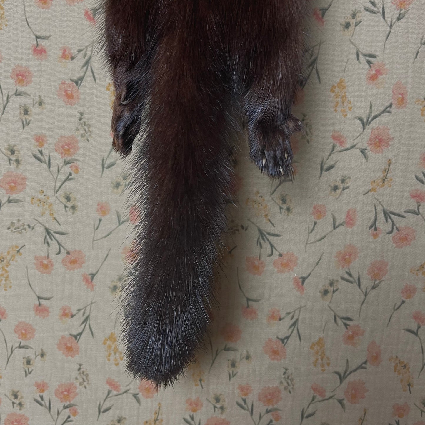 Vintage Mink Scarf with Diamond Knot Closure