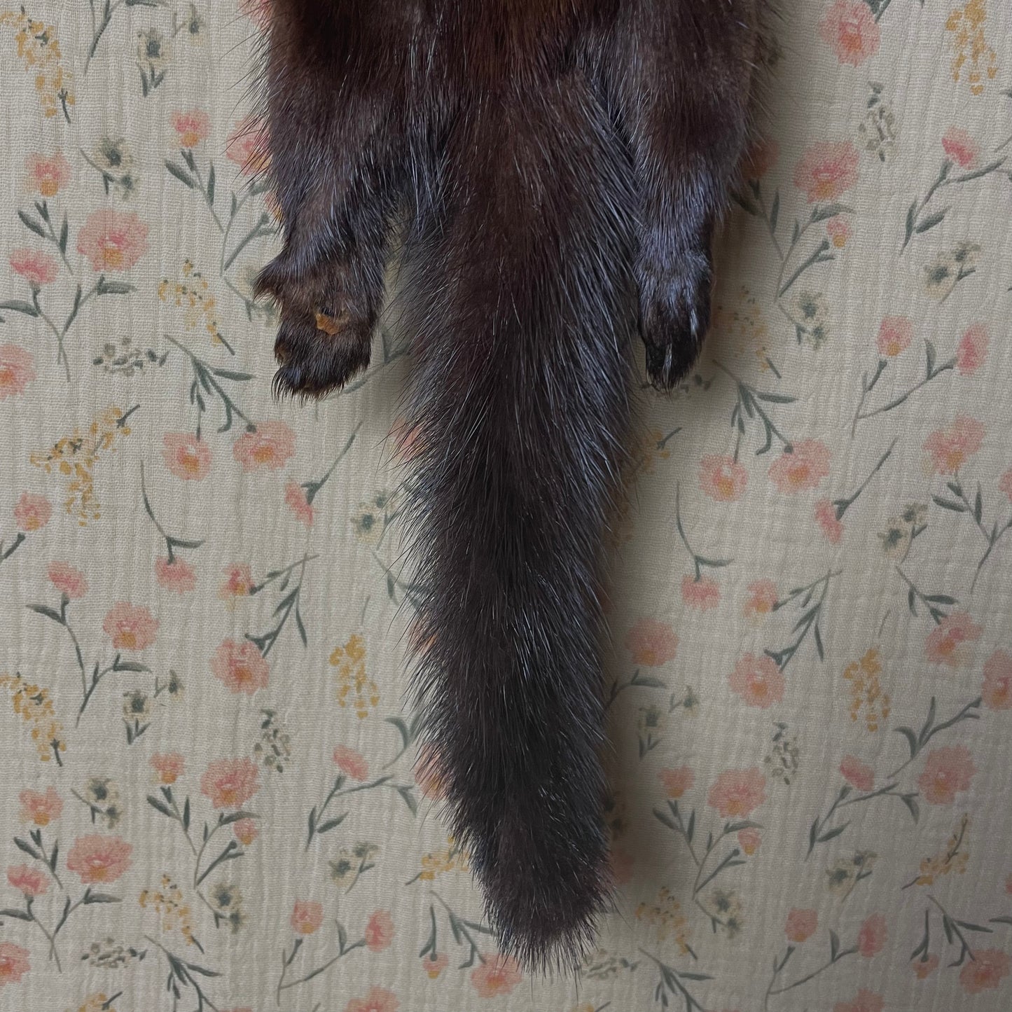Vintage Mink Scarf with Diamond Knot Closure