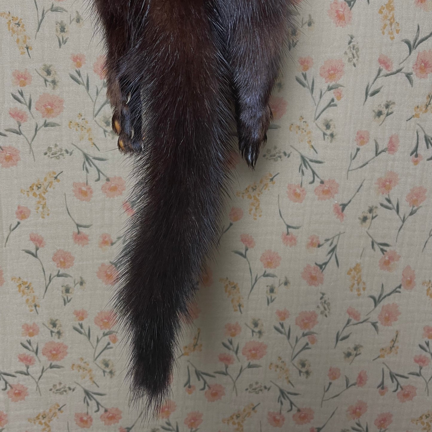 Vintage Mink Scarf with Diamond Knot Closure