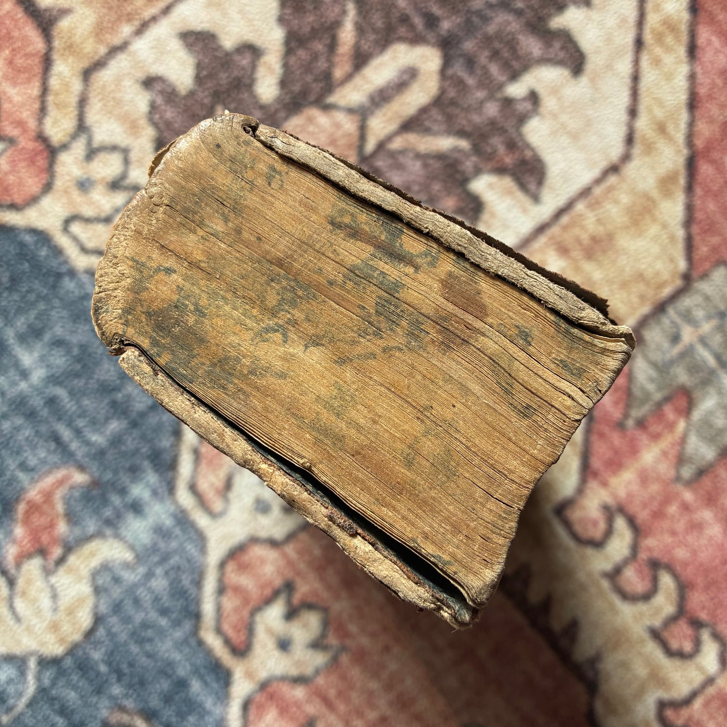 Breviarium Romanum 1747 Summer Volume