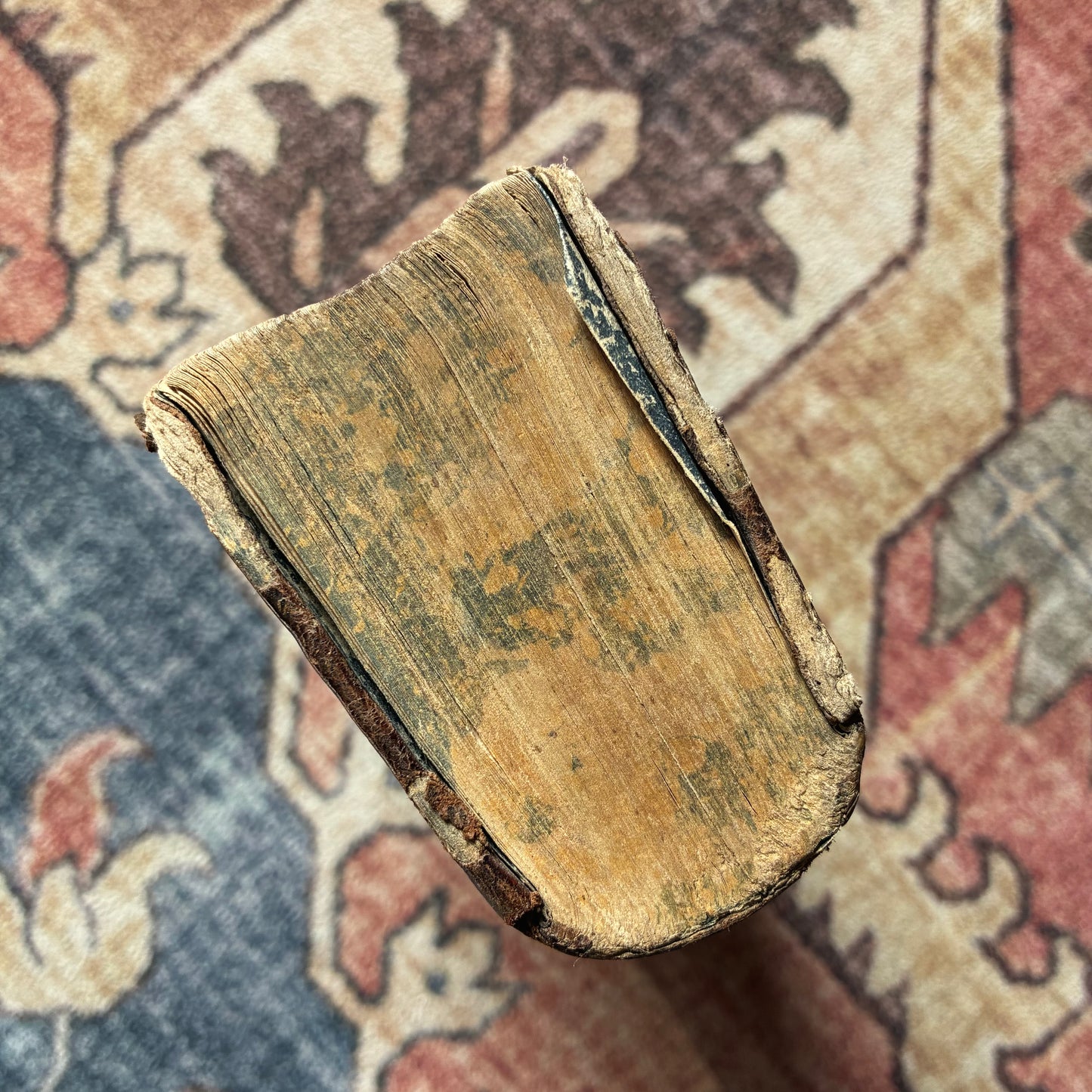 Breviarium Romanum 1747 Summer Volume