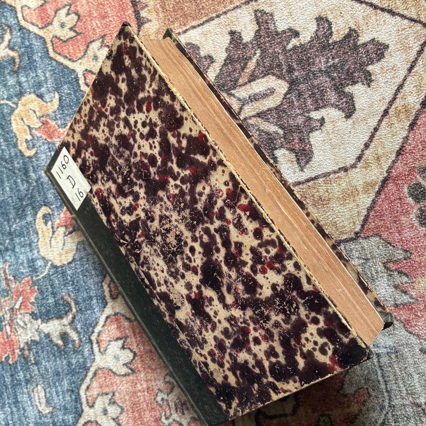 Catholic Theological Guide for Priests 1823