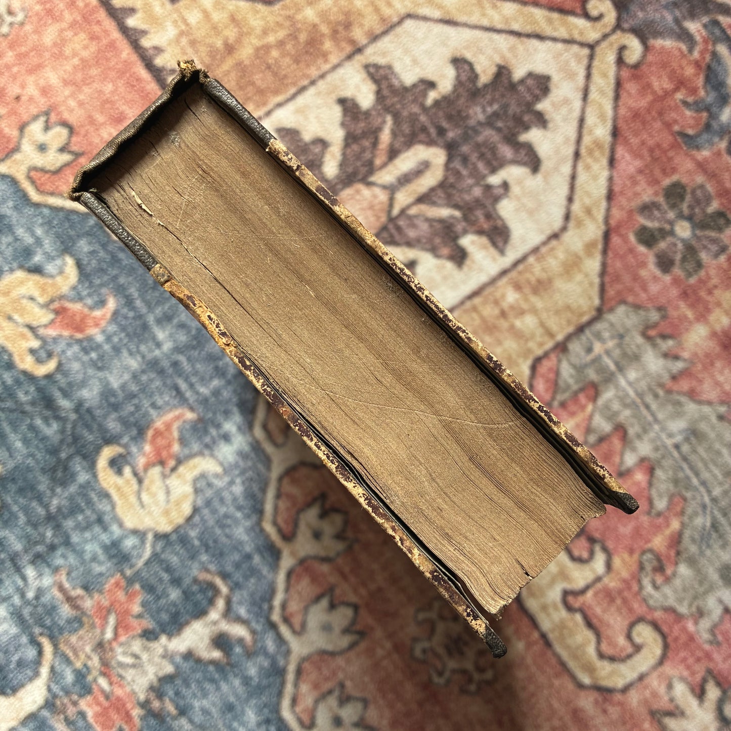 Catholic Theological Guide for Priests 1823