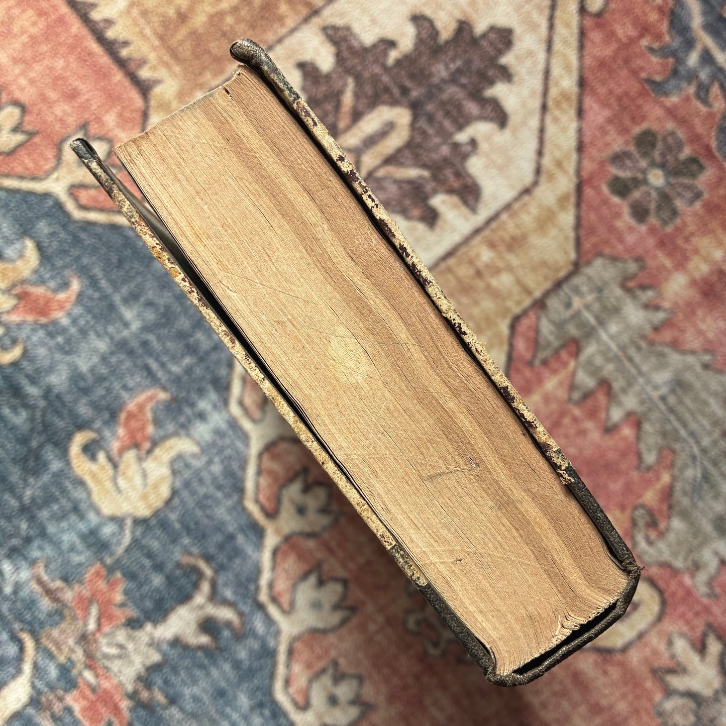 Catholic Theological Guide for Priests 1823