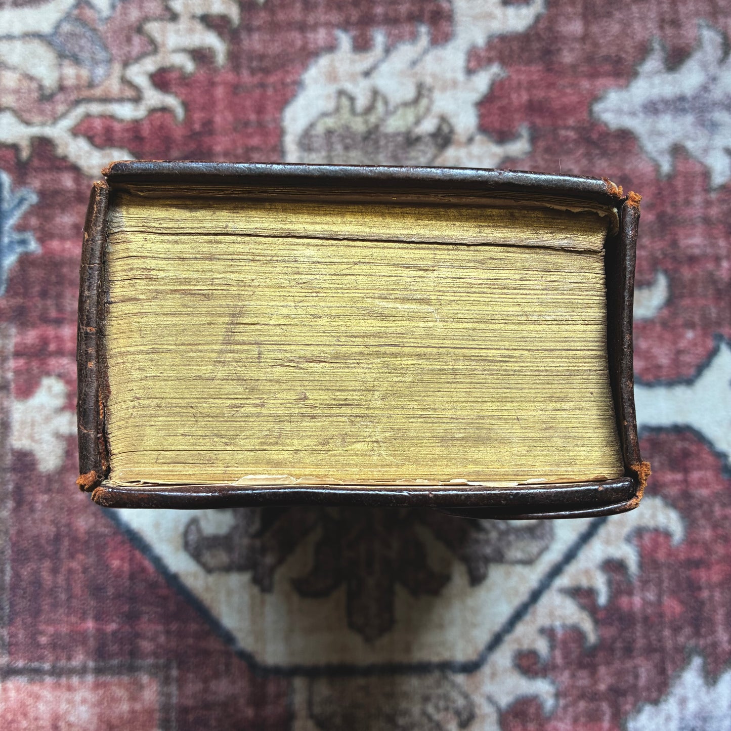 Bible with Silver Hardware