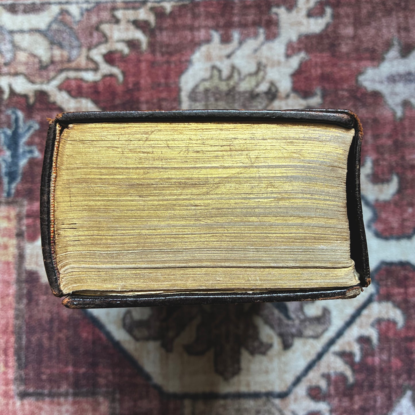 Bible with Silver Hardware