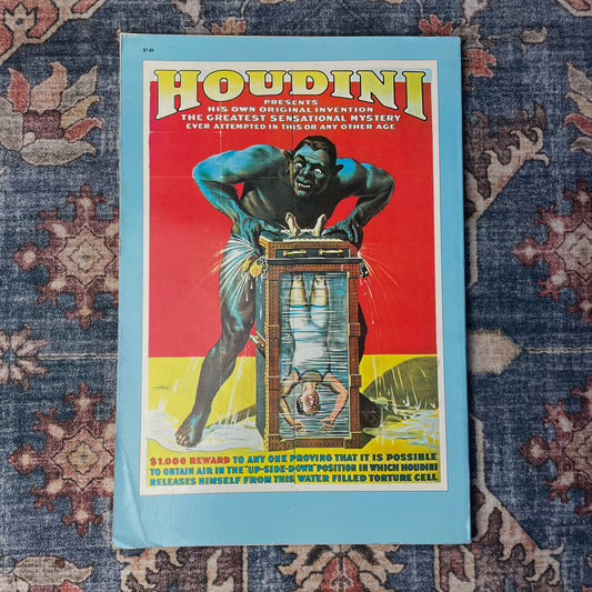 100 Years of Magic Posters Book