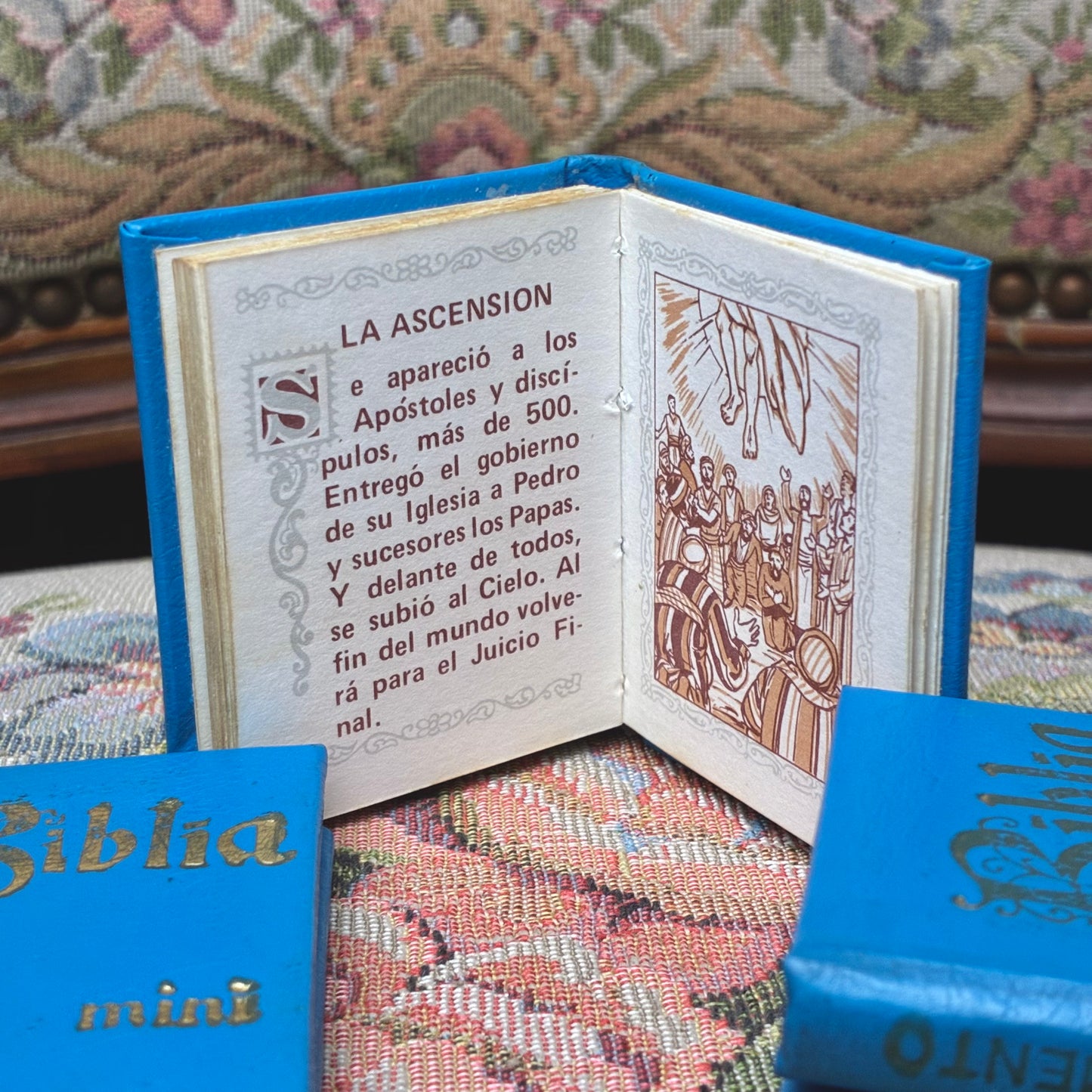 Biblia Mini - Nuevo & Antiguo Testamento