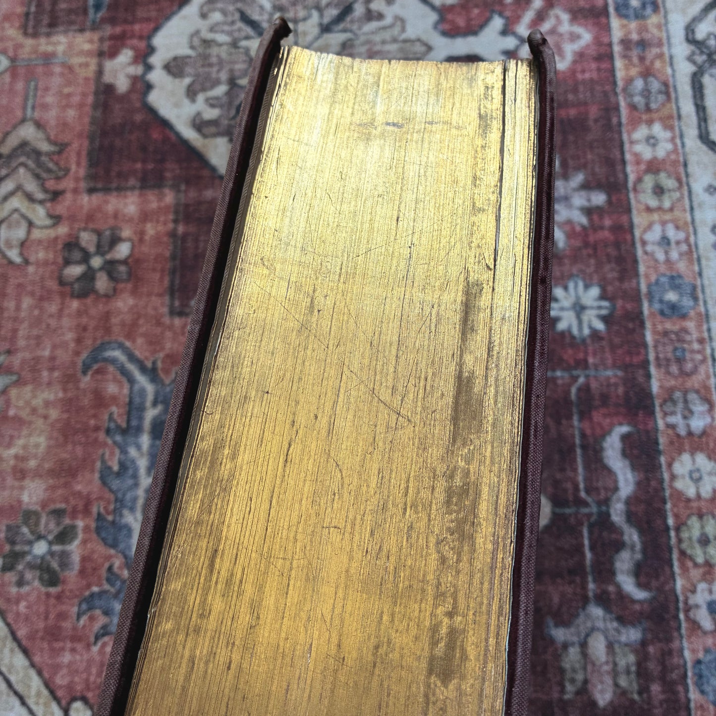 La Sainte Bible - The Synode Wallon