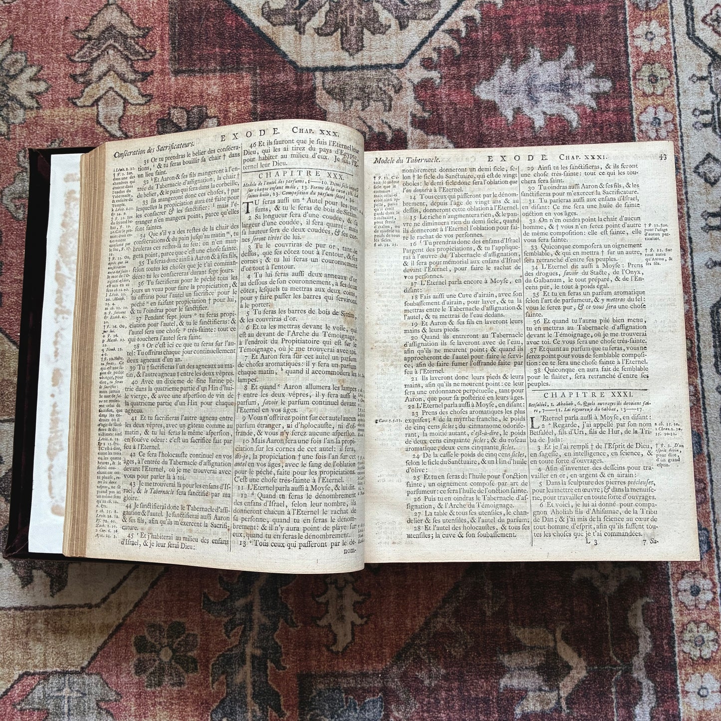 La Sainte Bible - The Synode Wallon