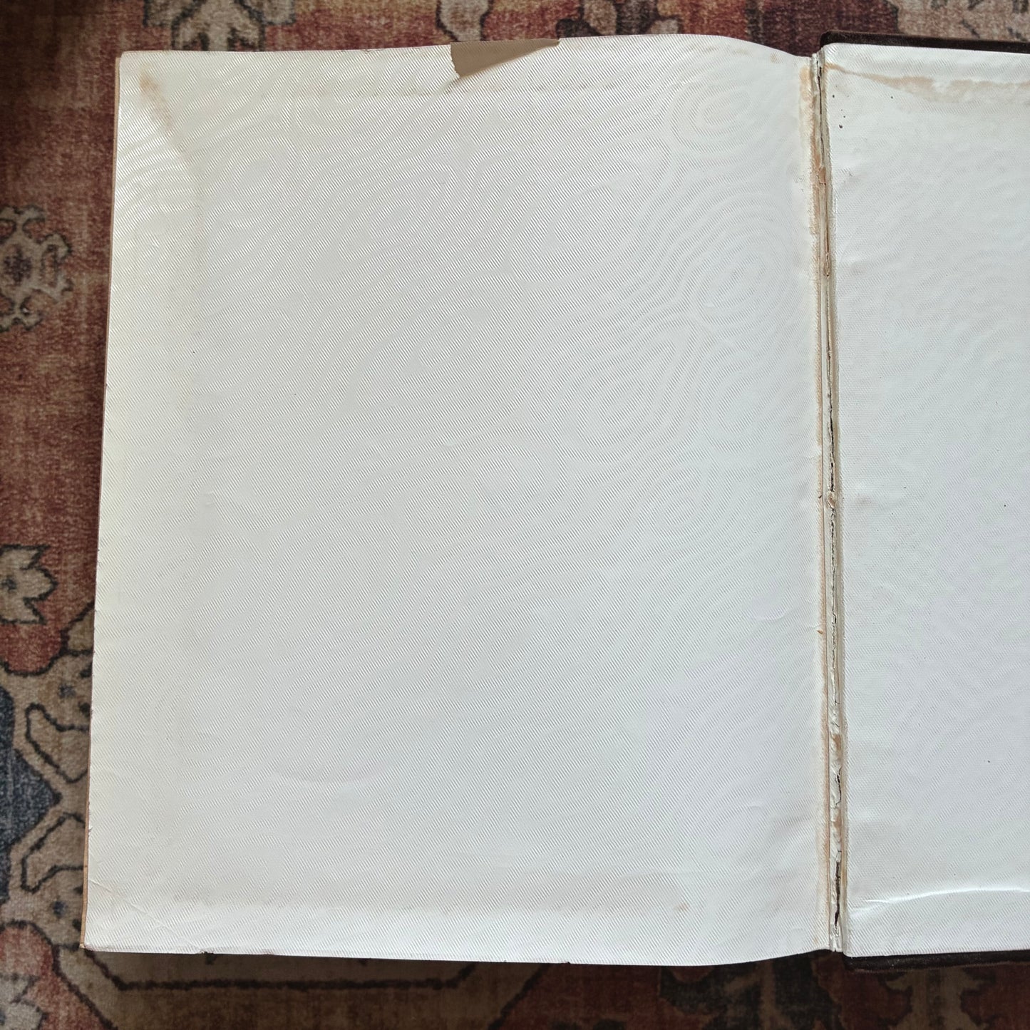 La Sainte Bible - The Synode Wallon