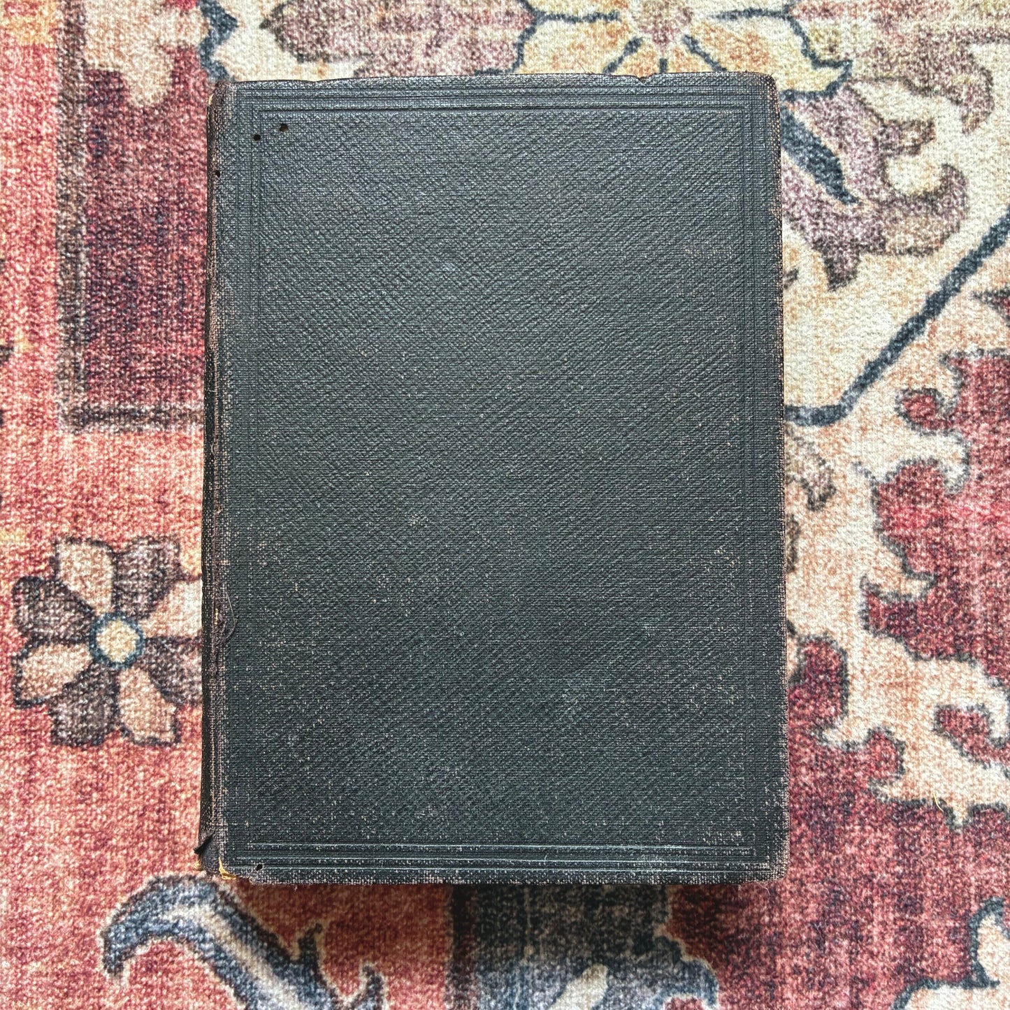 Double New Testament - Dutch & English