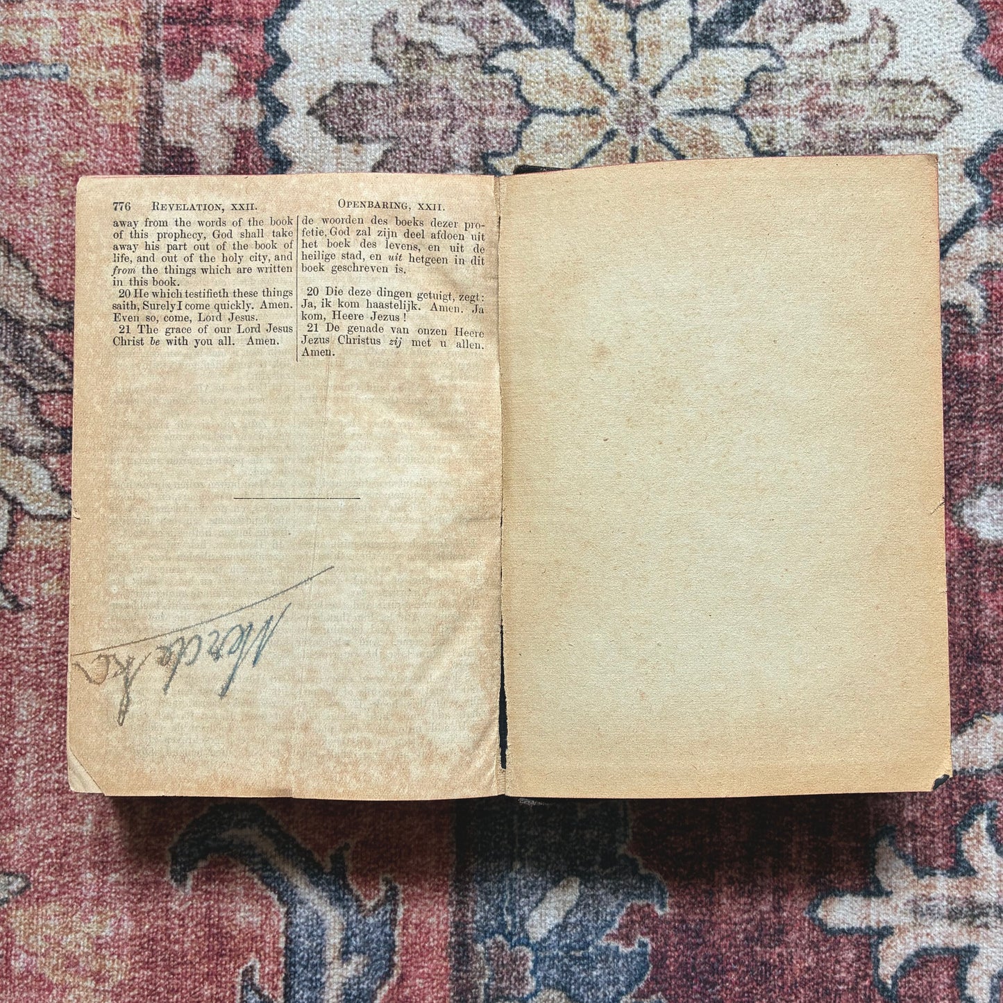 Double New Testament - Dutch & English