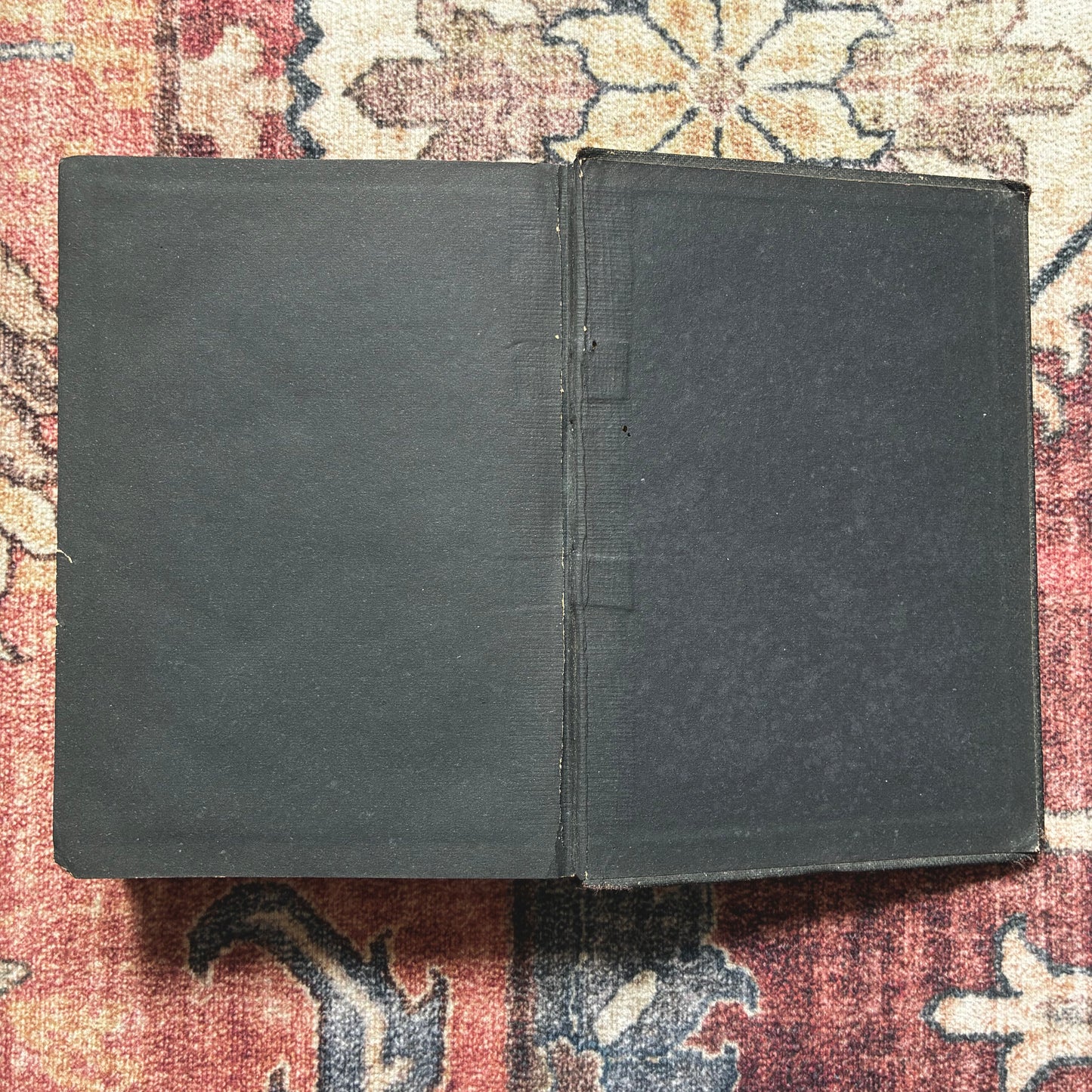 Double New Testament - Dutch & English