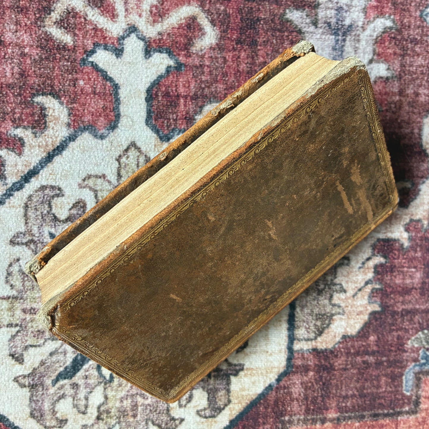Compendium Theologiae Moralis - 1852