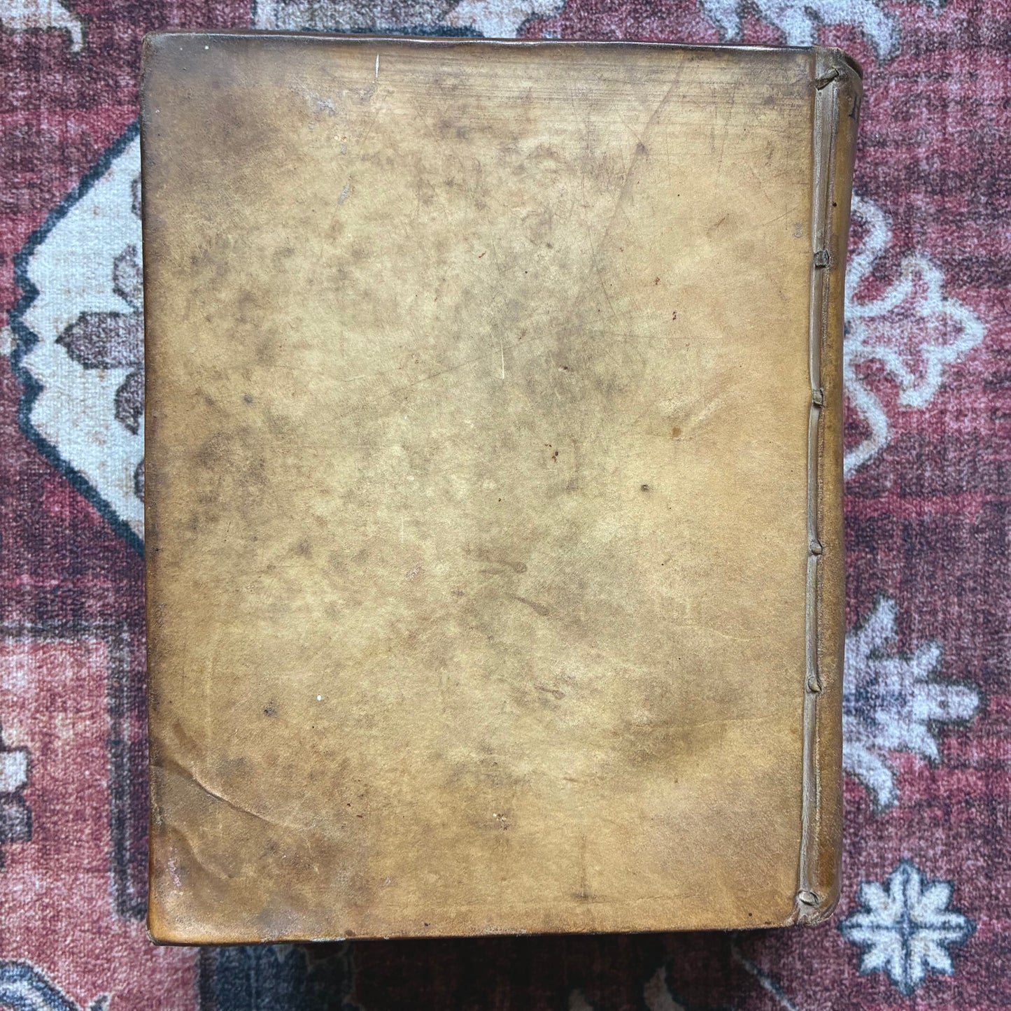 De Euangelische Jesaia 1721 - III