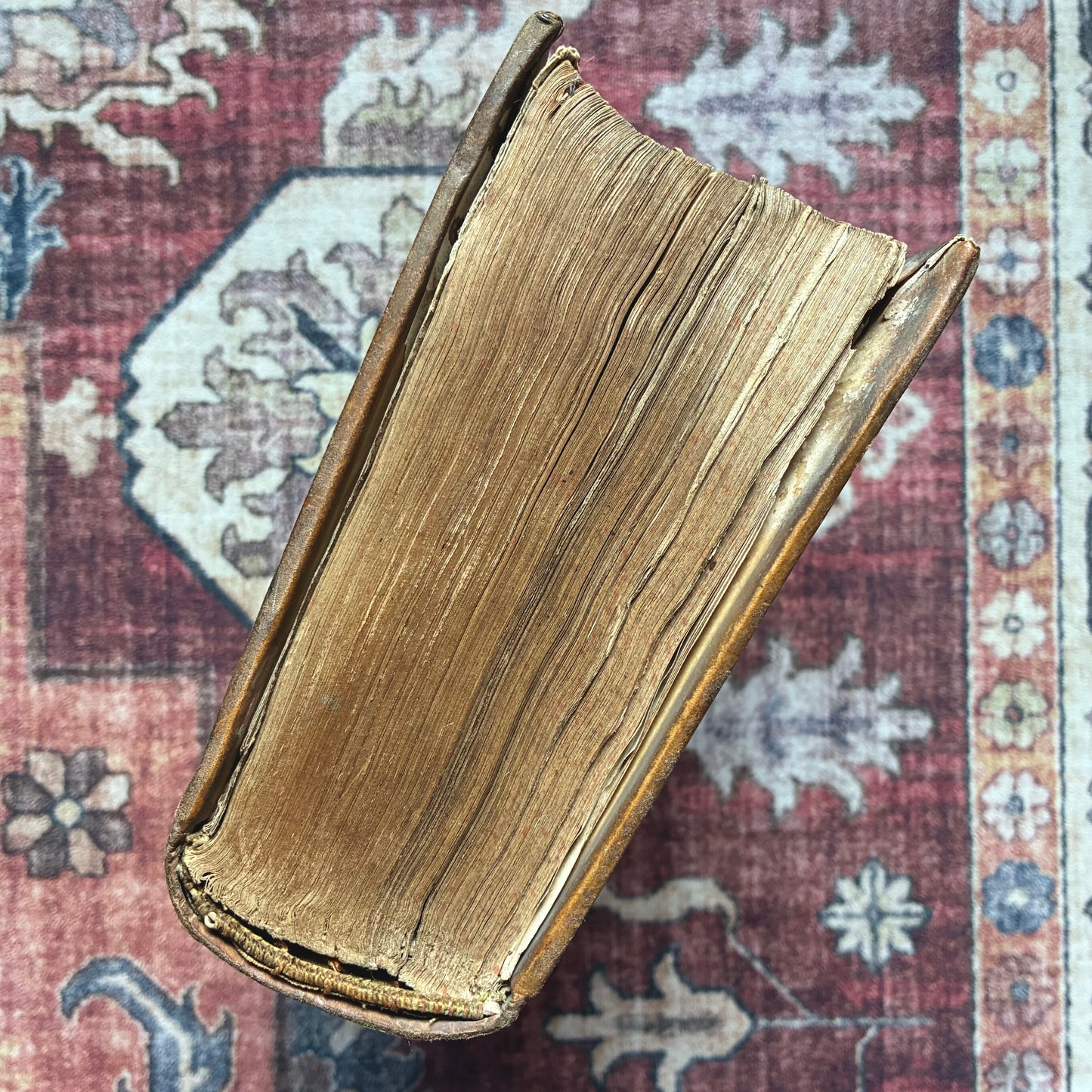 De Euangelische Jesaia 1721 - III