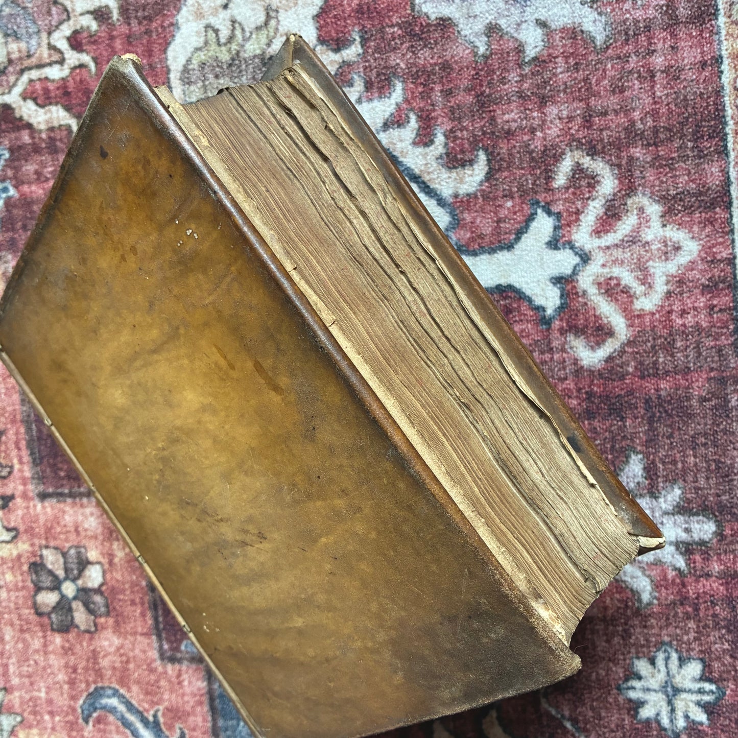 De Euangelische Jesaia 1721 - III