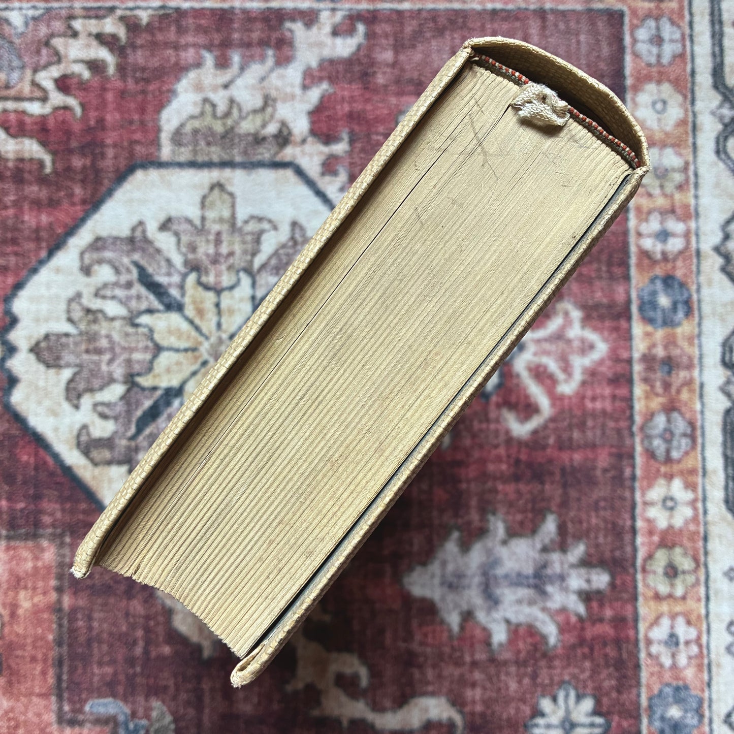 Palmblätter (Jubilee Edition) 1903