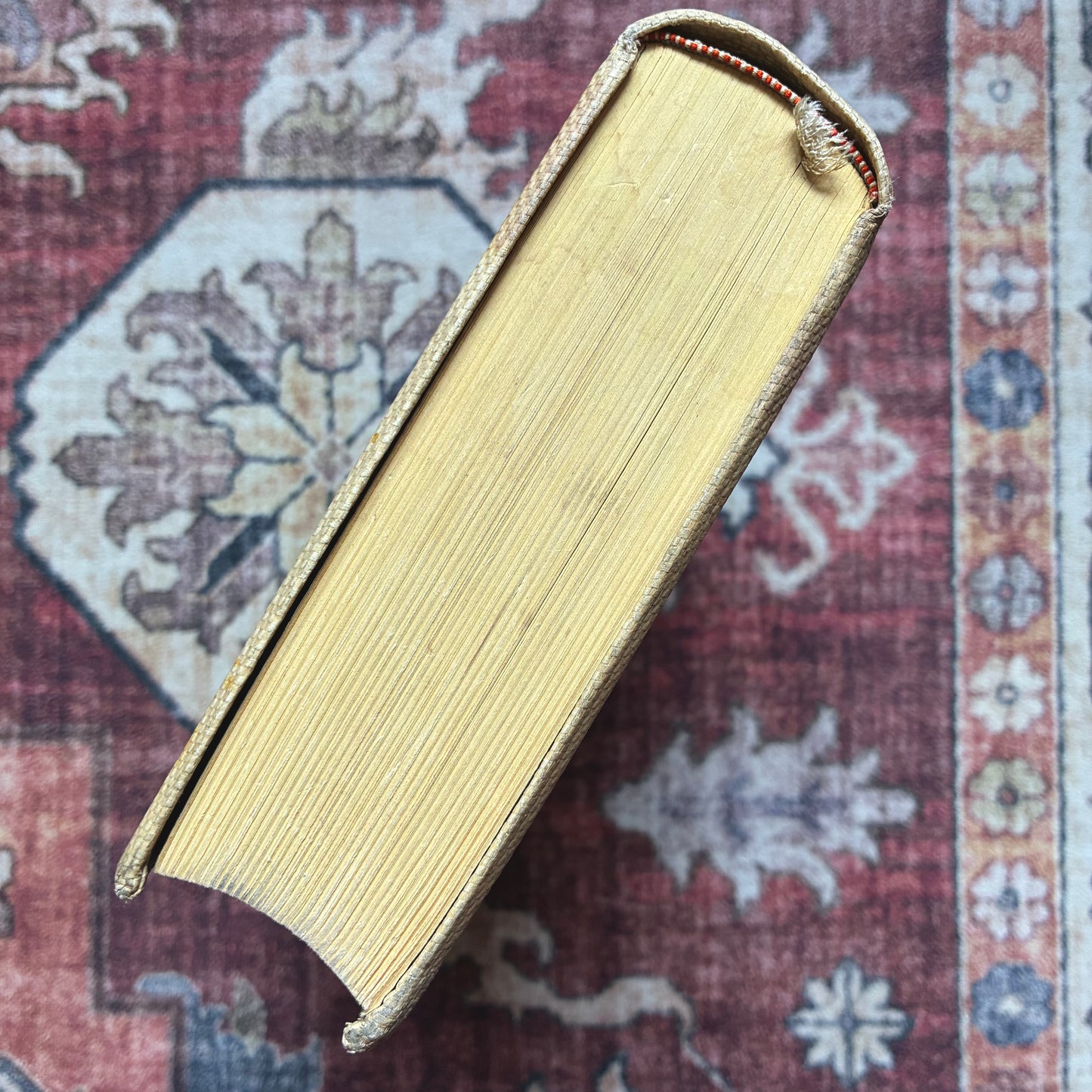 Palmblätter (Jubilee Edition) 1903