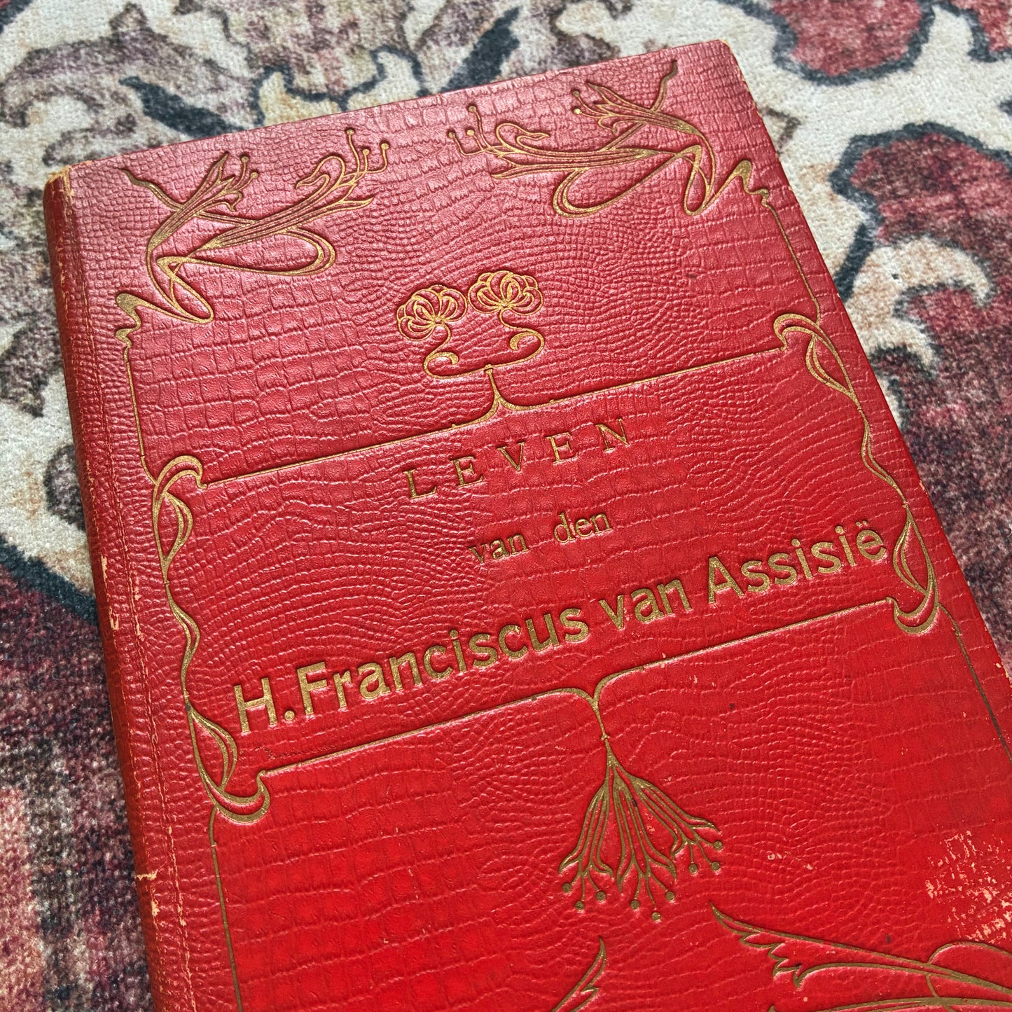 Leven van den H. Franciscus van Assisië - 1895