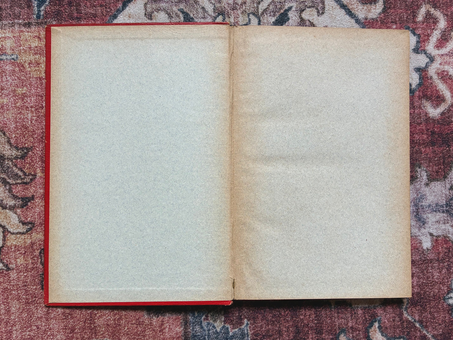 Leven van den H. Franciscus van Assisië - 1895