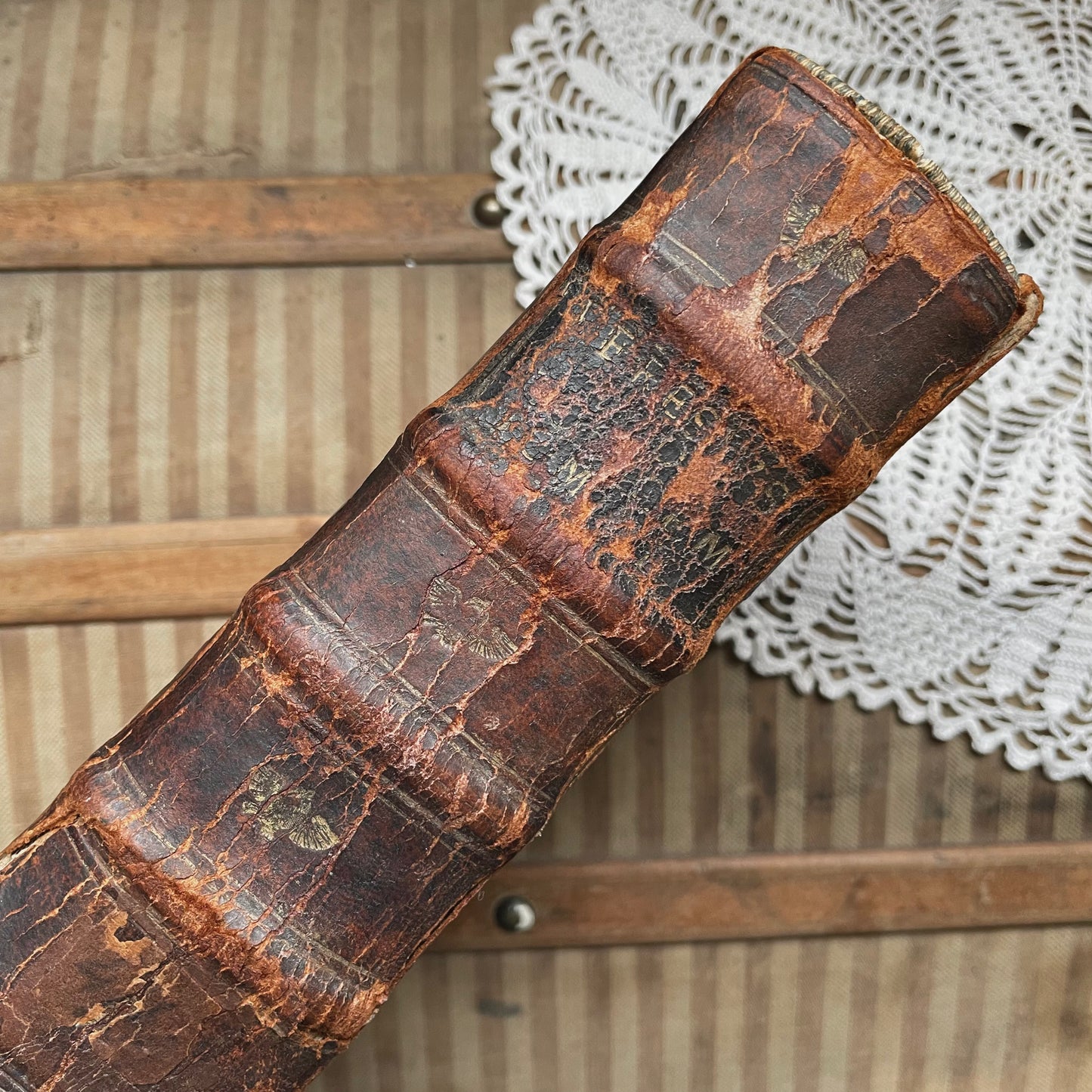 Expositiones Codicis Justiniani 1636