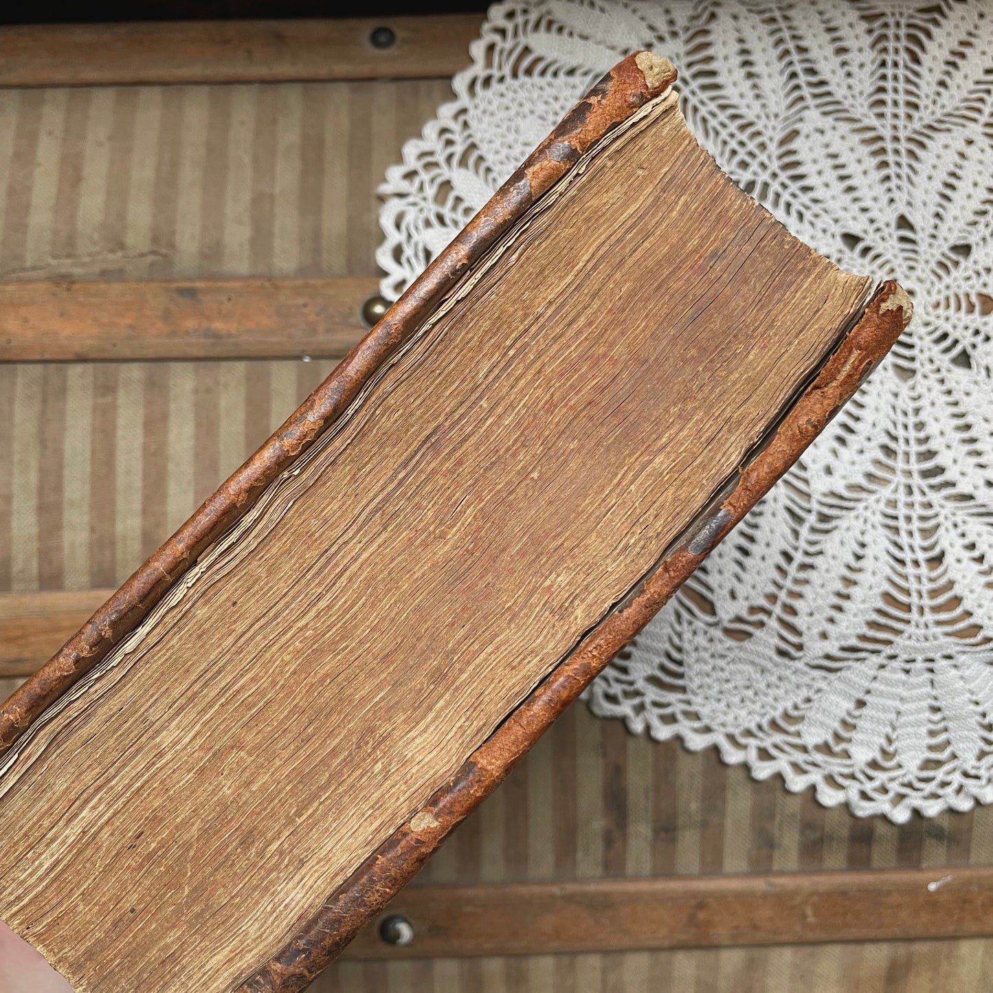 Expositiones Codicis Justiniani 1636