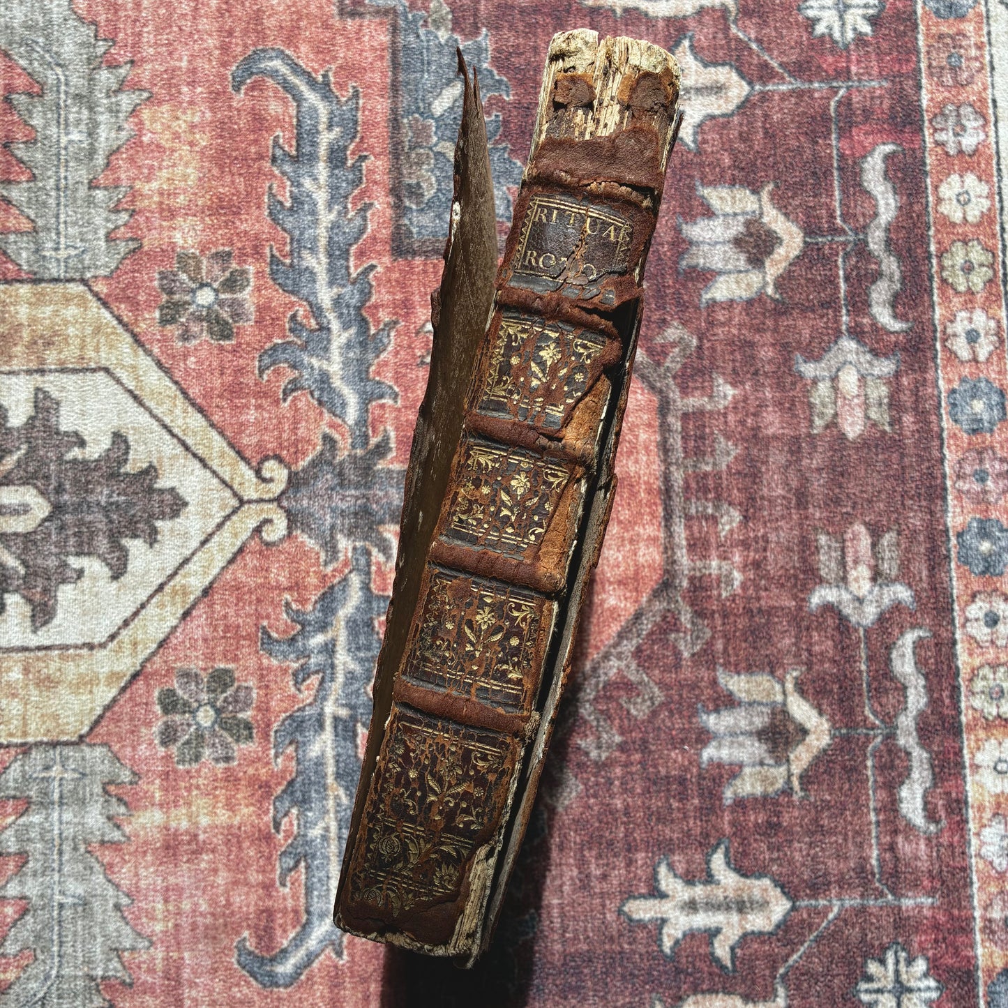 Rituale Rotomagense 1771