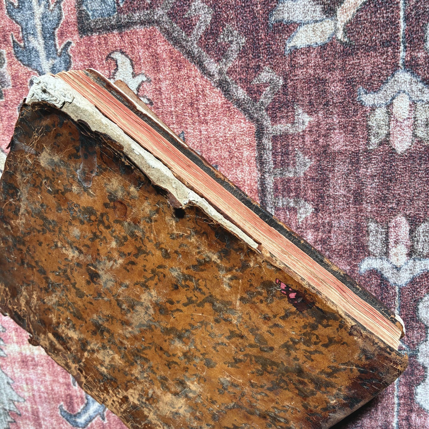 Rituale Rotomagense 1771