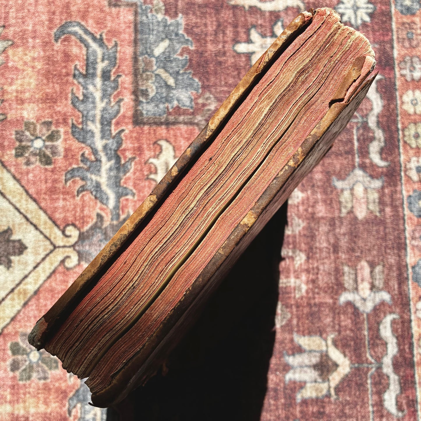 Rituale Rotomagense 1771