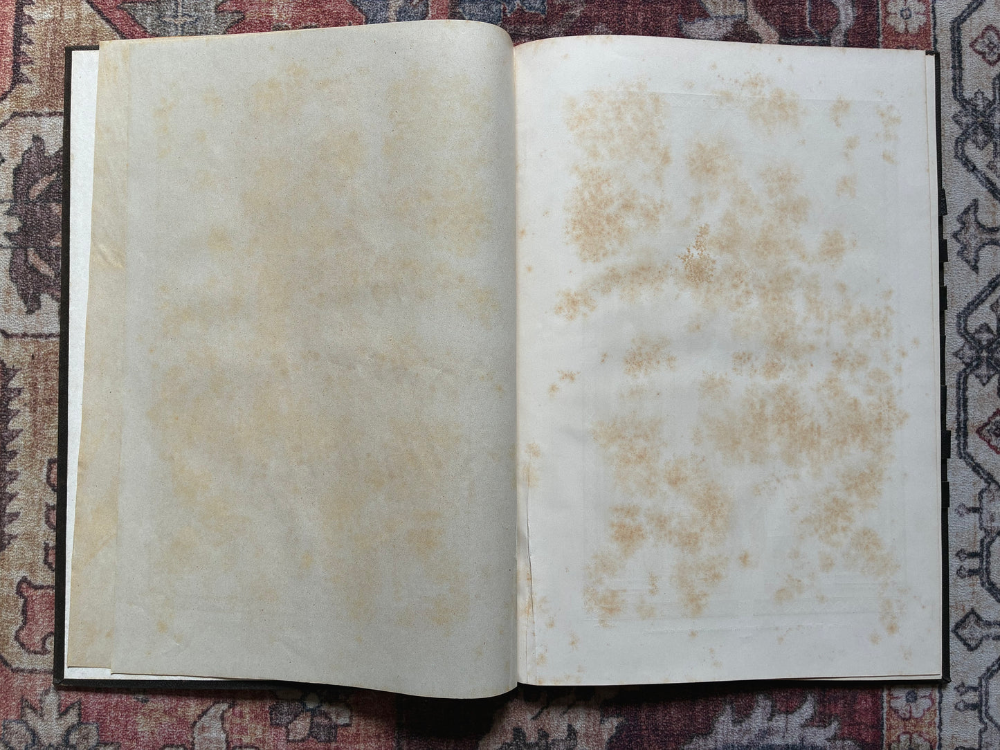 Missae Pro Defunctis 1889