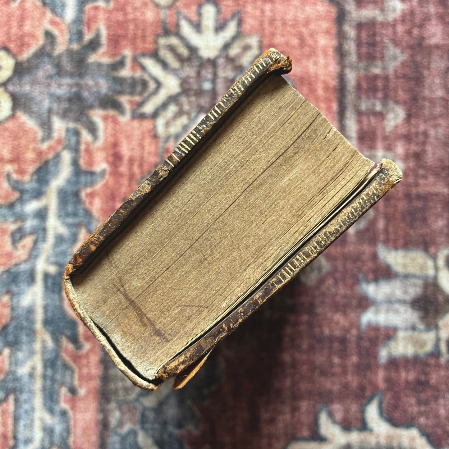 Breviarium Romanum 1695